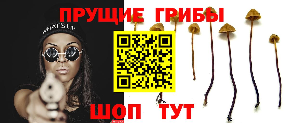 Псилоцибиновые грибы GOLDEN TEACHER Обнинск