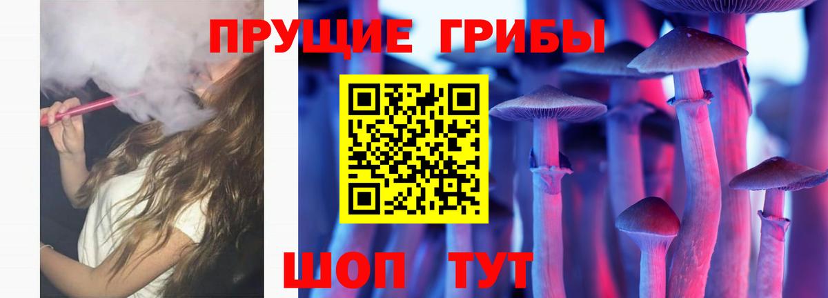 Псилоцибиновые грибы прущие грибы  Галлюциногенные грибы прущие грибы  Обнинск  Вход с VPN 